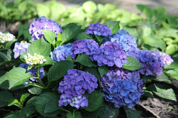 Living close to a major shopping hub in reading: an in-depth look at the benefits and drawbacks